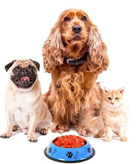 naturabarf dieta barf para mascotas caninas y felinas